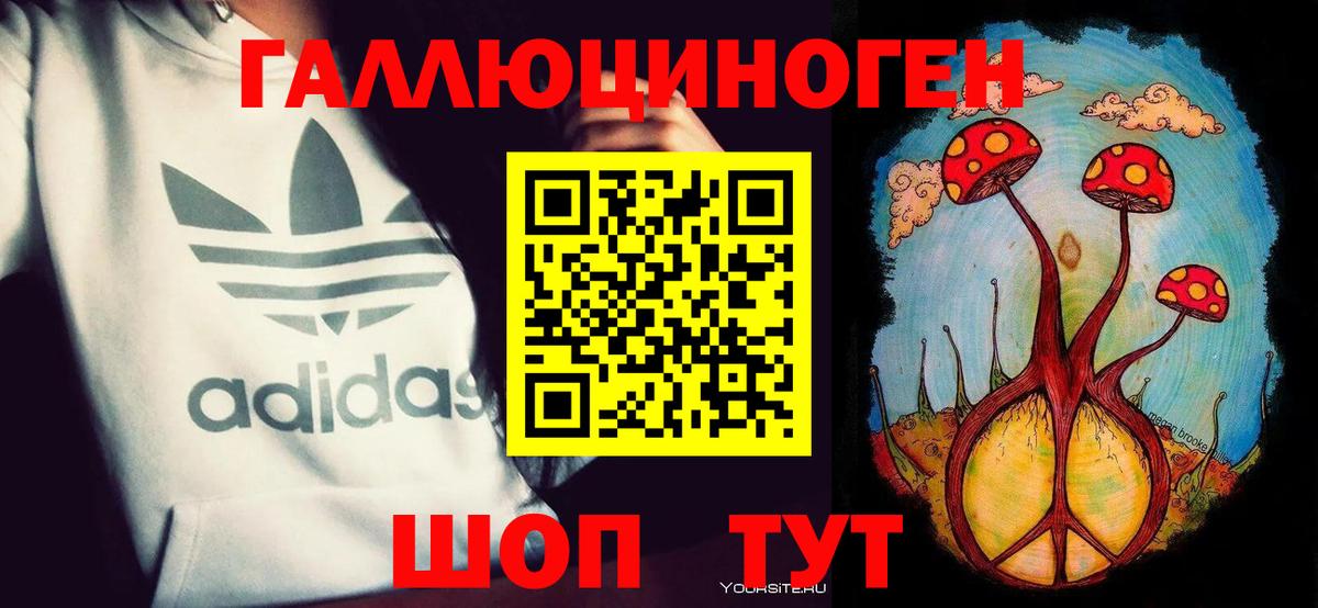 Курчалой  Псилоцибиновые грибы MAGIC MUSHROOMS  Вход с VPN  Галлюциногенные грибы мухоморы 